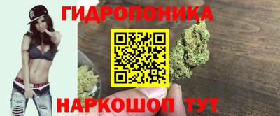 мяу мяу мука Ливны