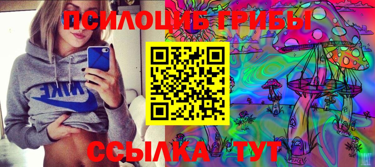 Холмск  как найти закладки  Вход с VPN  Псилоцибиновые грибы мицелий 